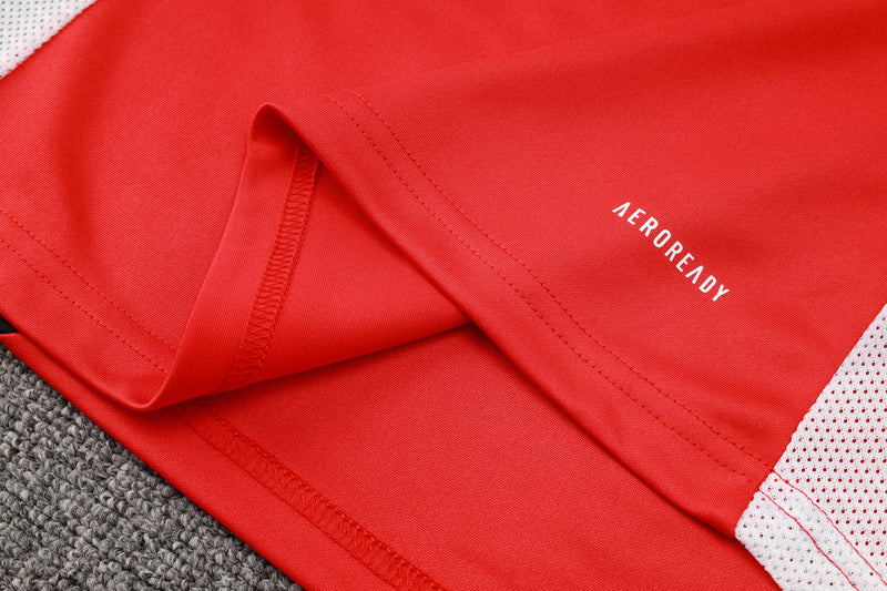 Conjunto de Treino Manchester United 2024-25