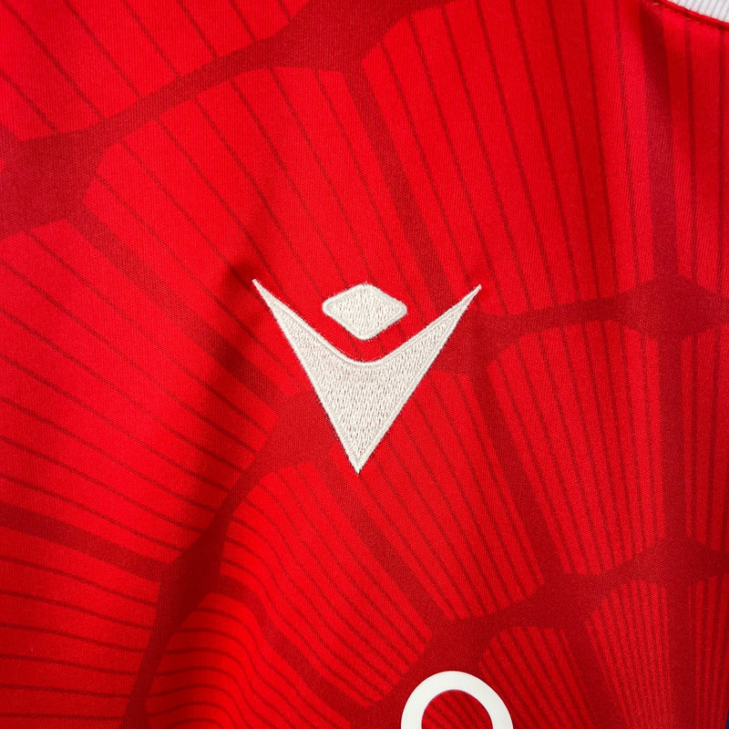 Camisola Crystal Palace 2023/24 Home